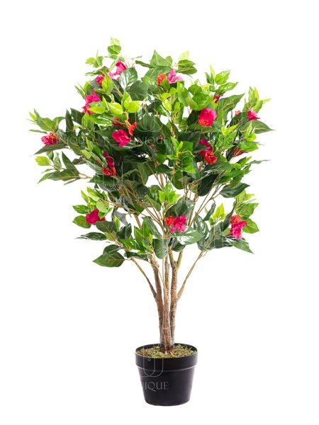 Binjamina A.T With Rose Flower H110CM