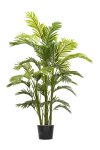 Areca A.T Joints H160CM