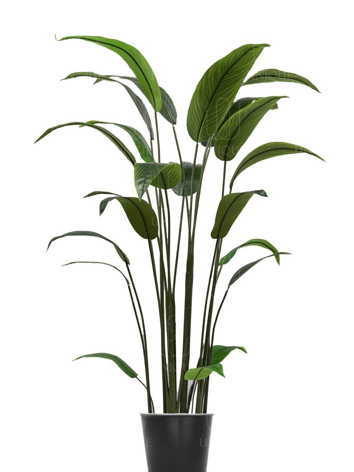 Heaven Bird Tree 8 Trunk H180CM