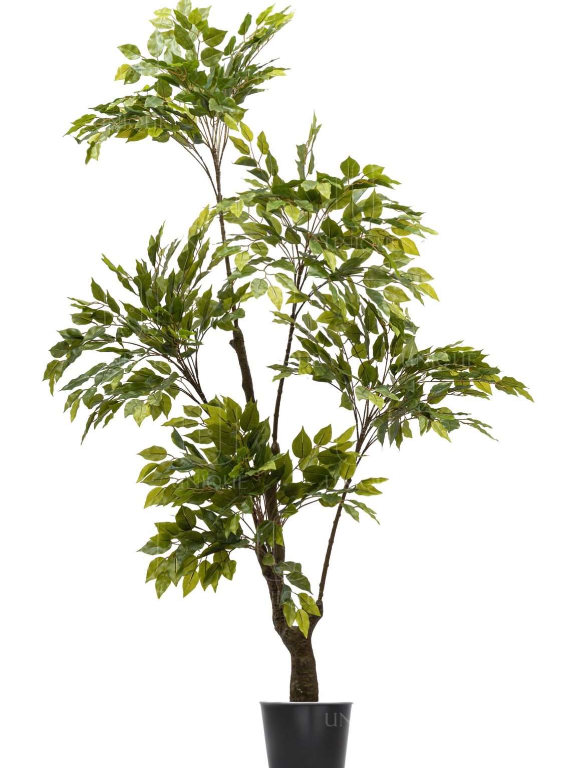 Binjamina2 A.T Iron Trunk H180CM