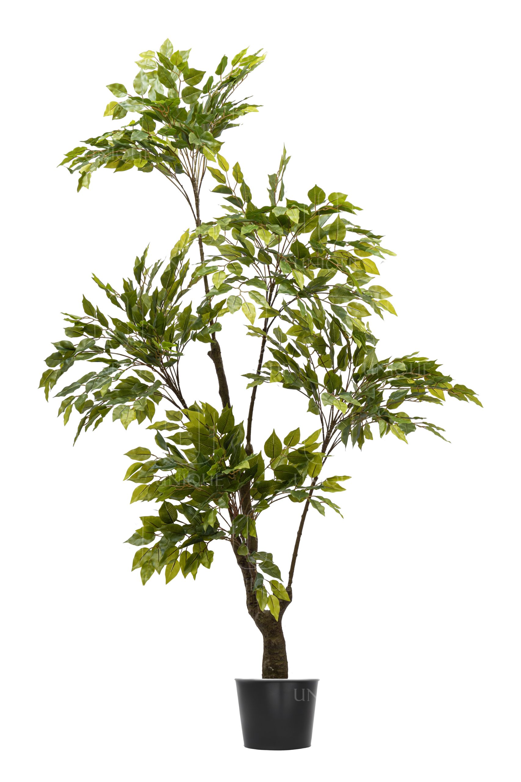 Binjamina2 A.T Iron Trunk H180CM