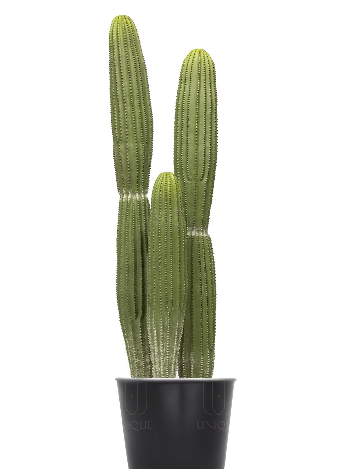 Artificial Cactus Triple Trunk H105CM