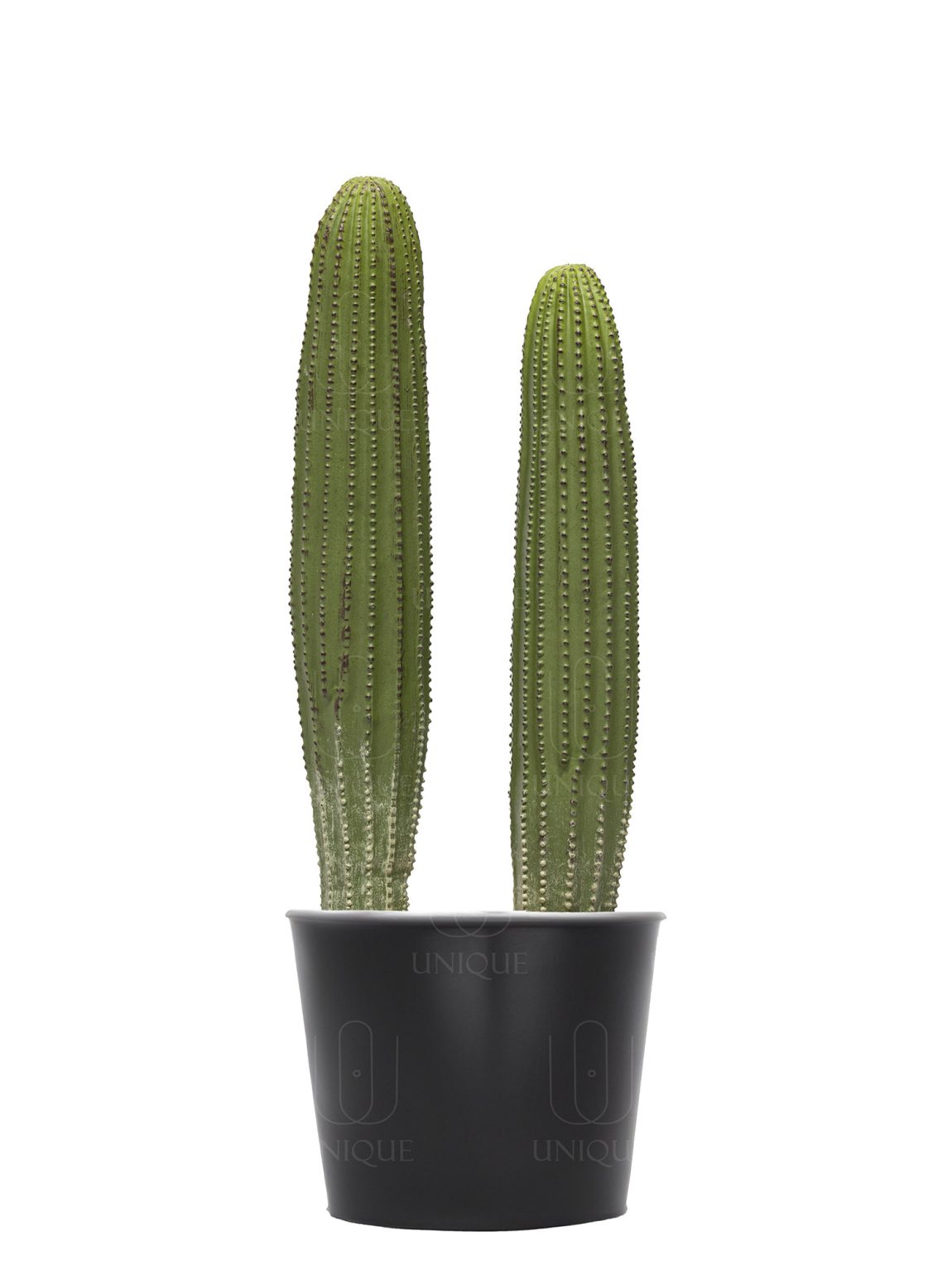 Artificial Cactus 2 Trunks H60CM