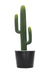 Artificial Cactus Single Trunk H70CM