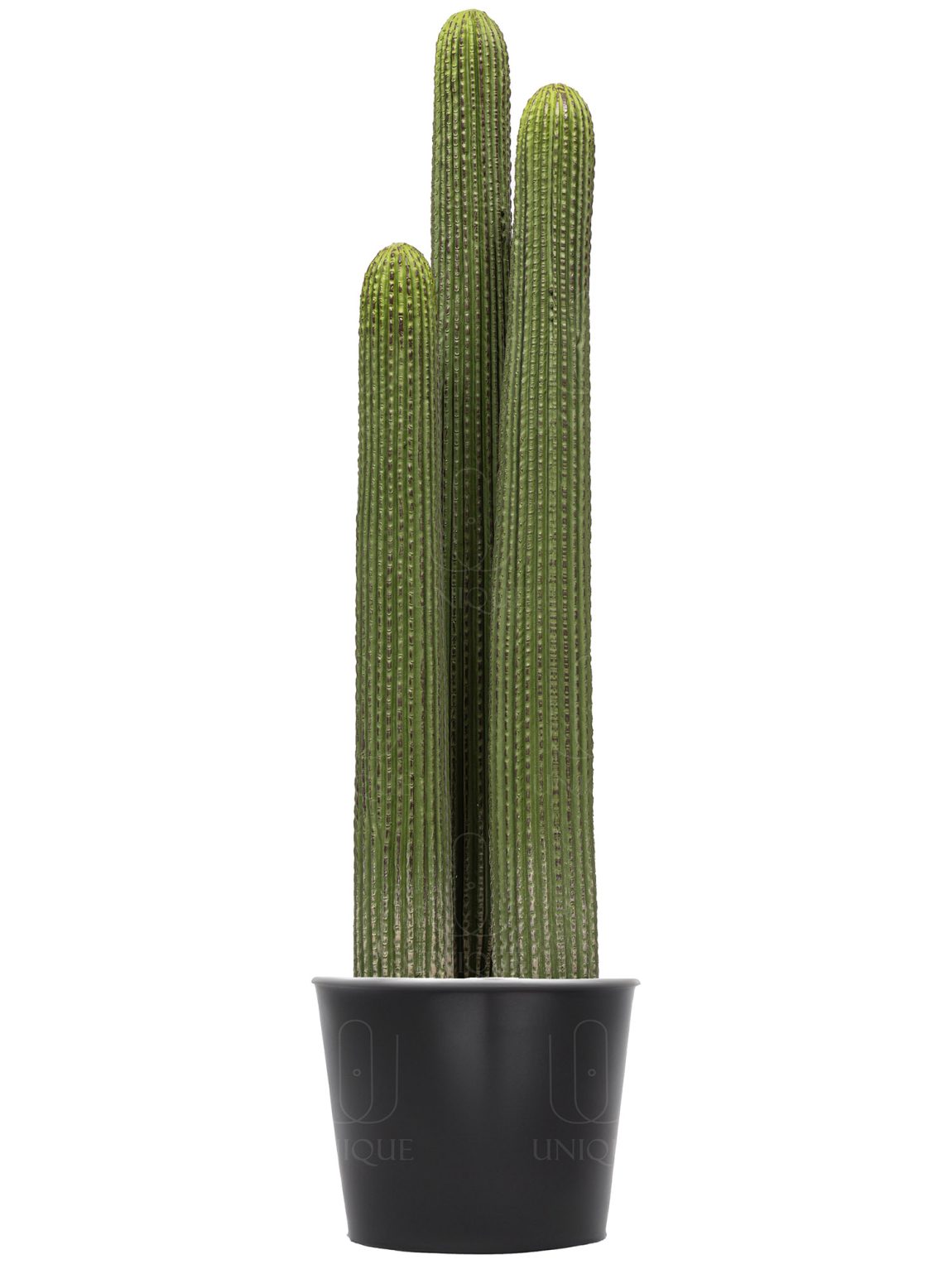 Artificial Cactus Triple Trunks H80CM