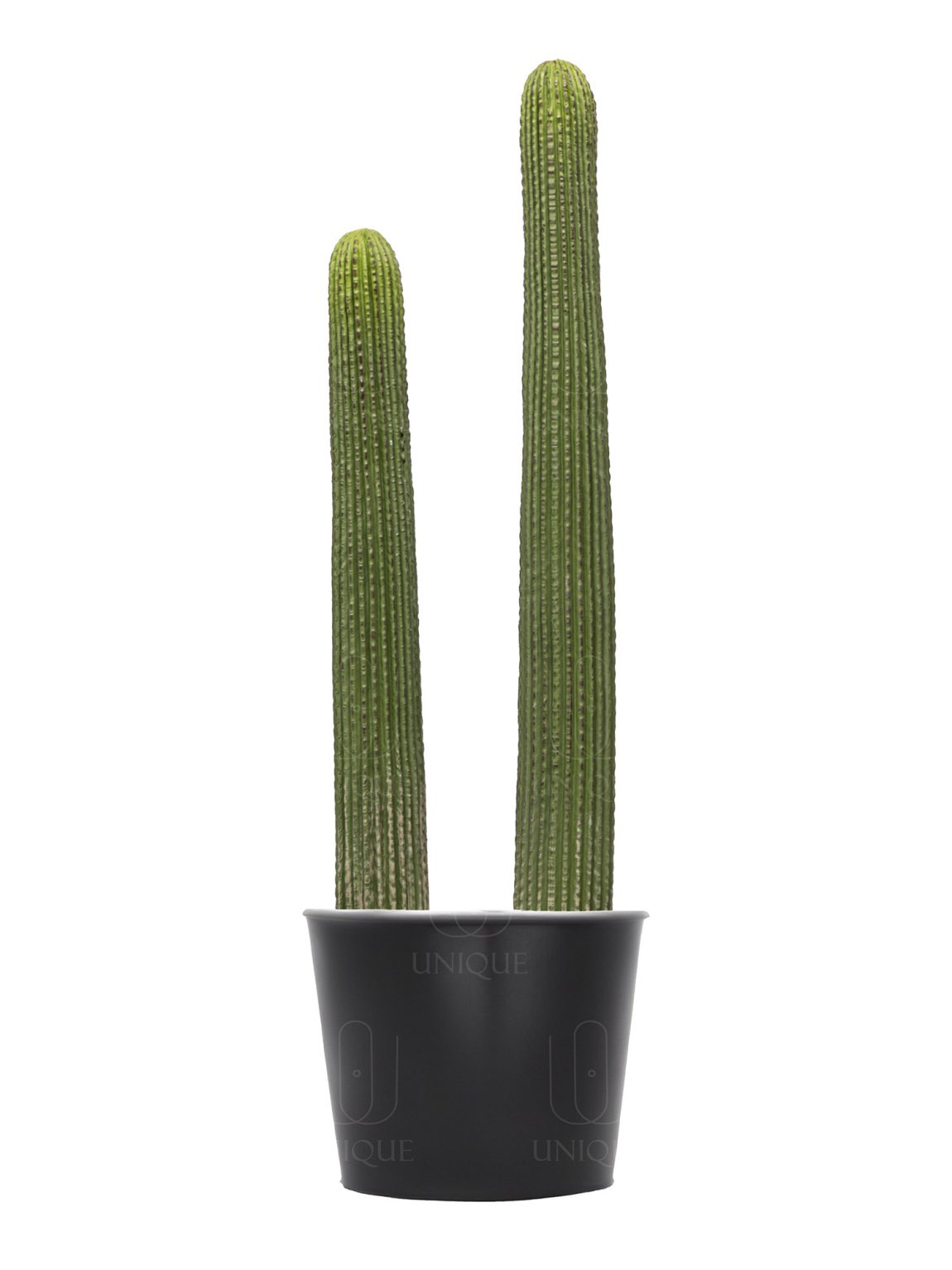 Artifical Cactus 2 Trunks H65CM