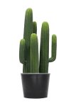 Artificial Cactus Triple Trunks H66CM