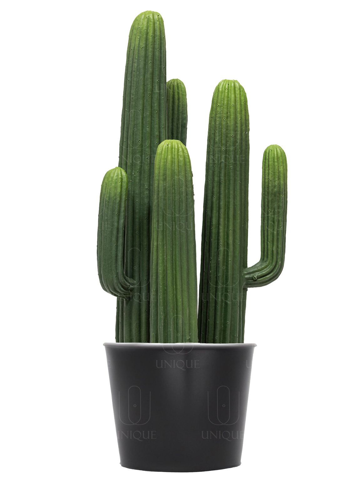 Artificial Cactus Triple Trunks H66CM
