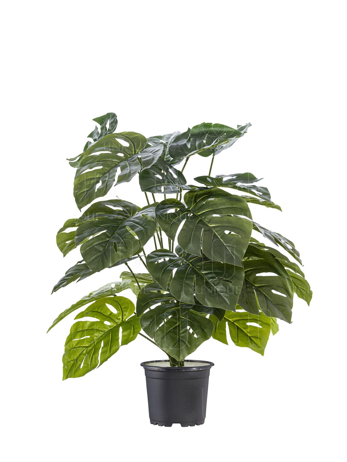 Monstera Deliciosa Artificial Plant Bunch With 24 Leavs H60CM