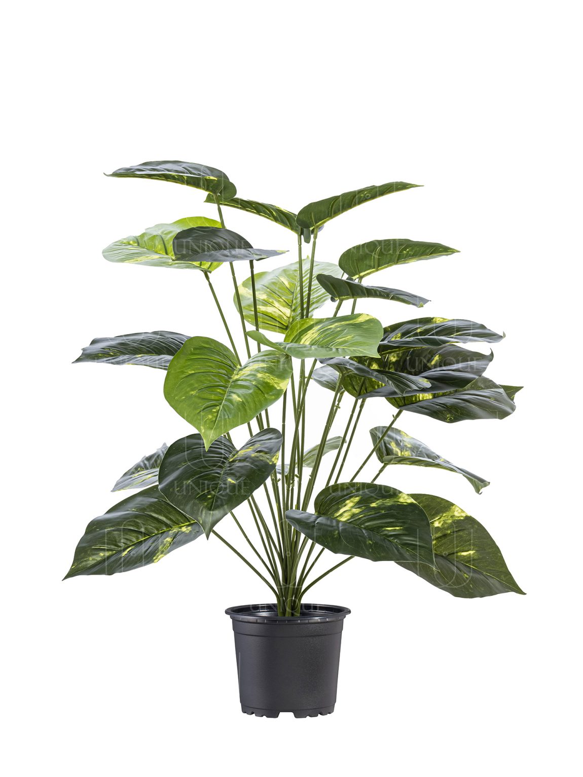 Vitika Flower Artificial Plant Bunch With 24 Leavs H75CM