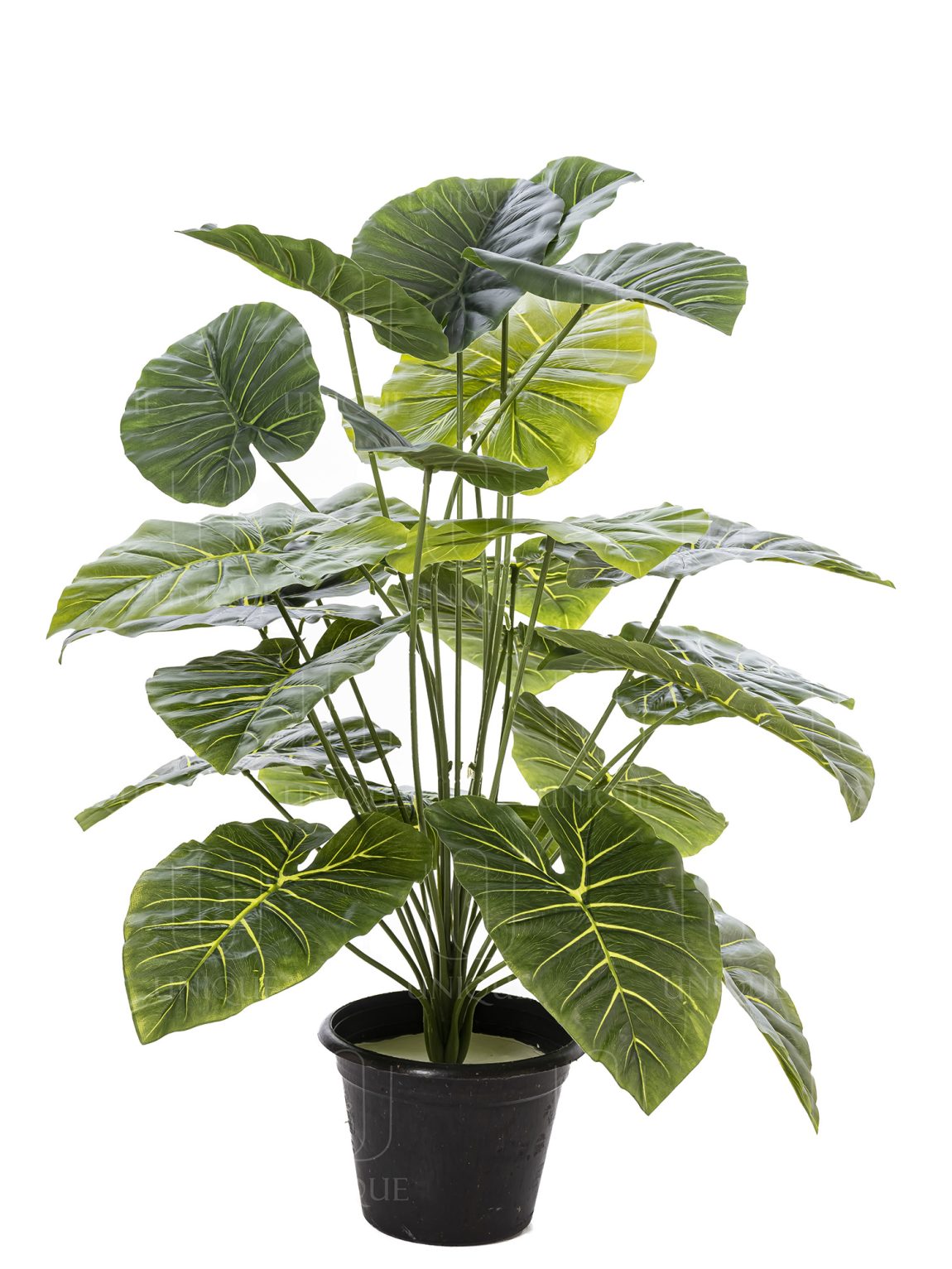 Taro Artificial Plant Bunch With 24 Leavs H75CM