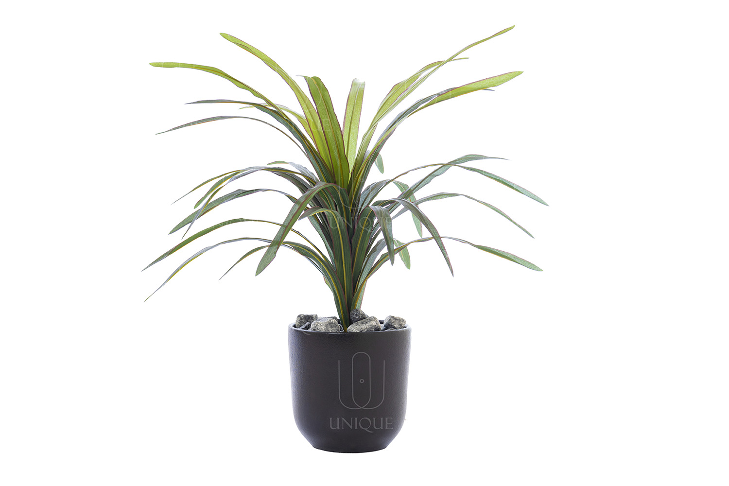 Dracaena Artificial Plant Bunch H50CM