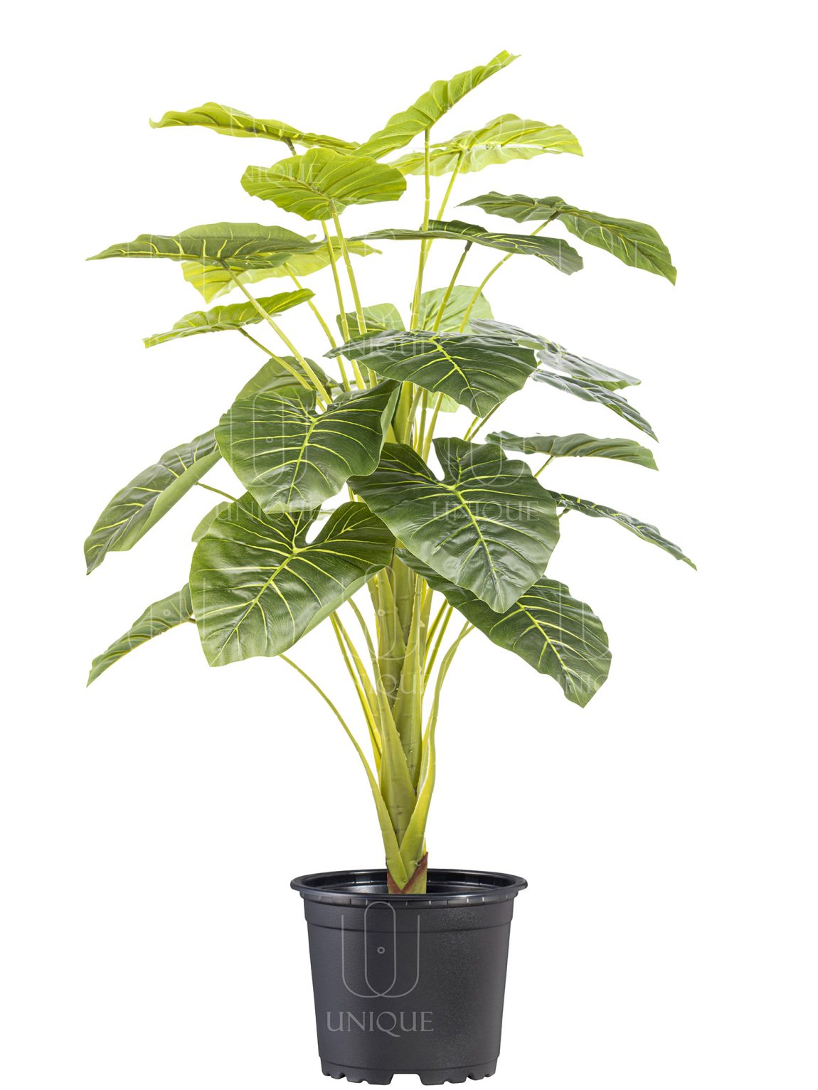 Alocasia Artificial Tree Single Trunk H125CM