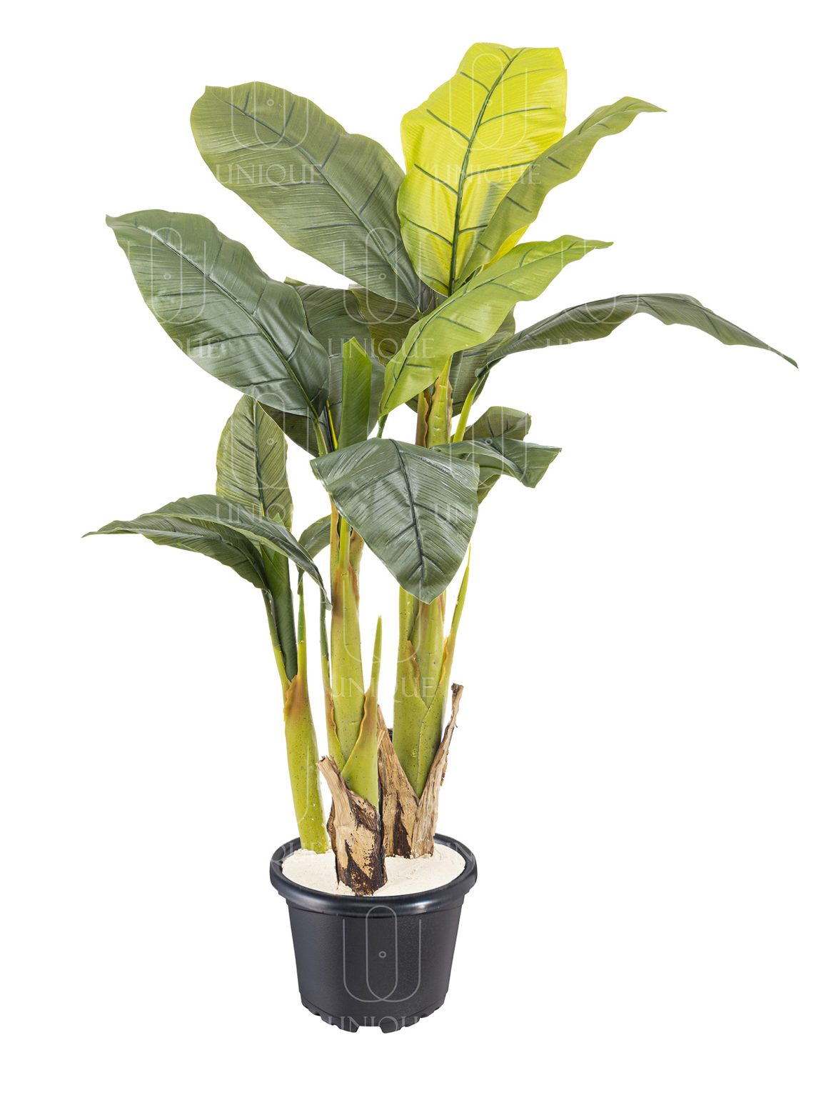 Banana High Quality Artificial Tree 3 Trunks