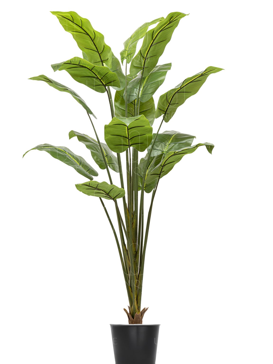 Banana Artificial Tree Single Yellow Trunk With 12 Leavs H150CM