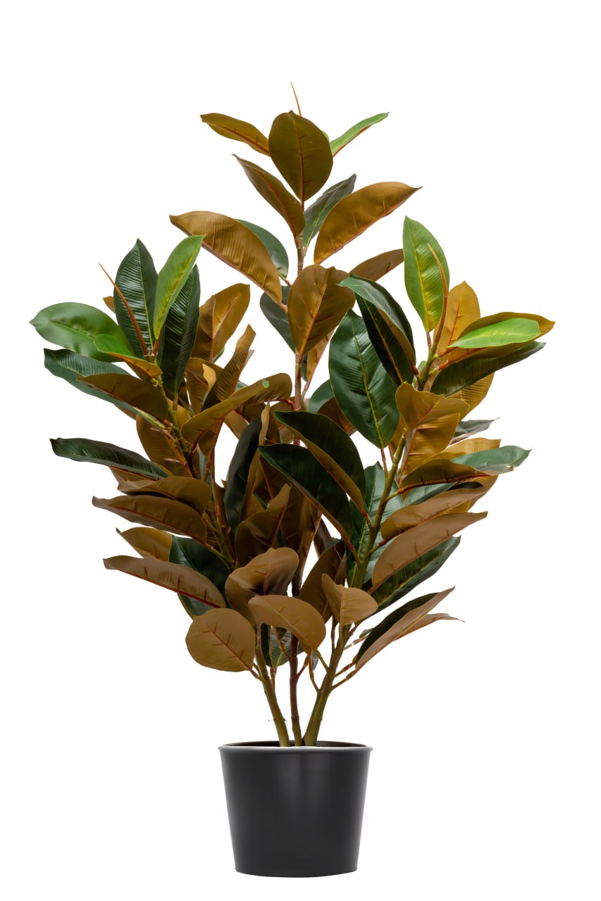 Rubber Fig Artificial Tree Green in Yellow Leaves H85CM
