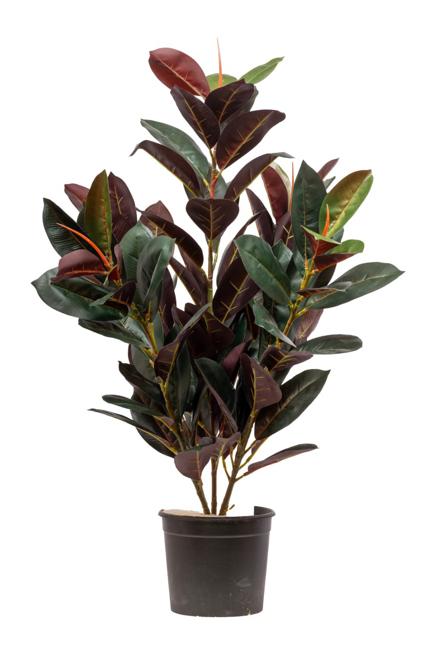 Rubber Fig Artificial Tree Green in Brown Leaves H85CM