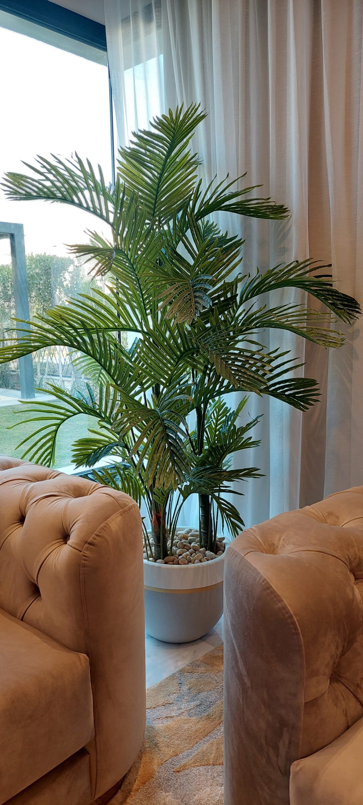 Areca A.T High Quality 3 Trunks H160CM - Image 2