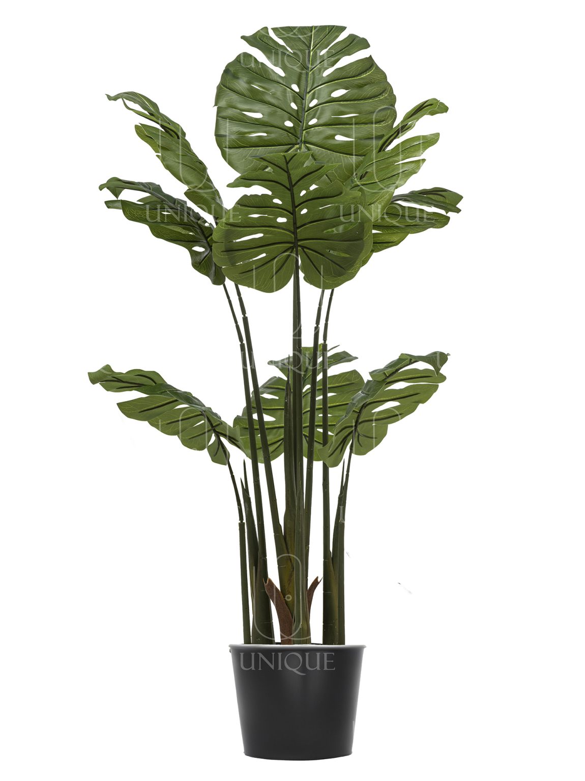 Monstera Deliciosa Artificial Tree 4 Trunks 12 Branches H155CM