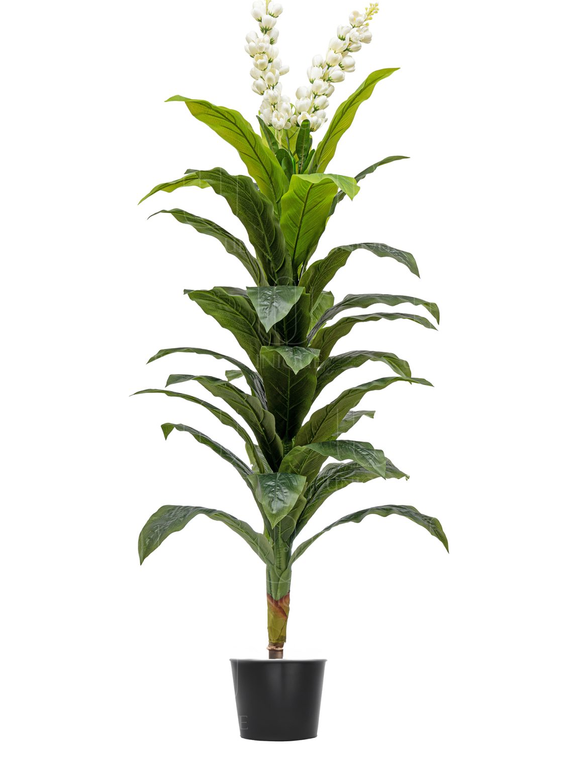 Dracaena Artificial Tree With White Flowers H160CM
