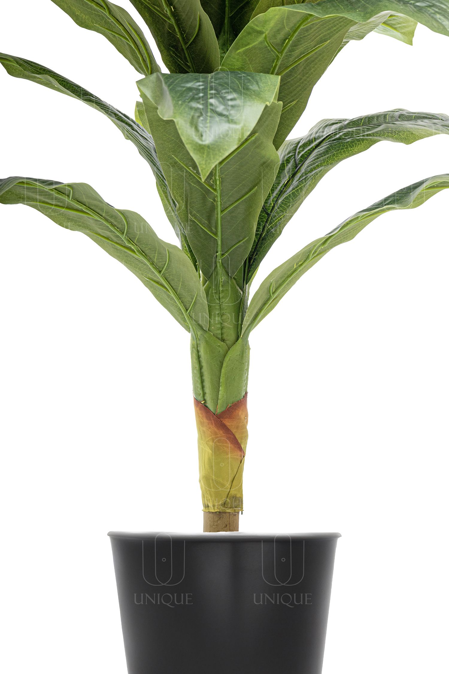 Dracaena Artificial Tree With White Flowers H100CM - Image 3