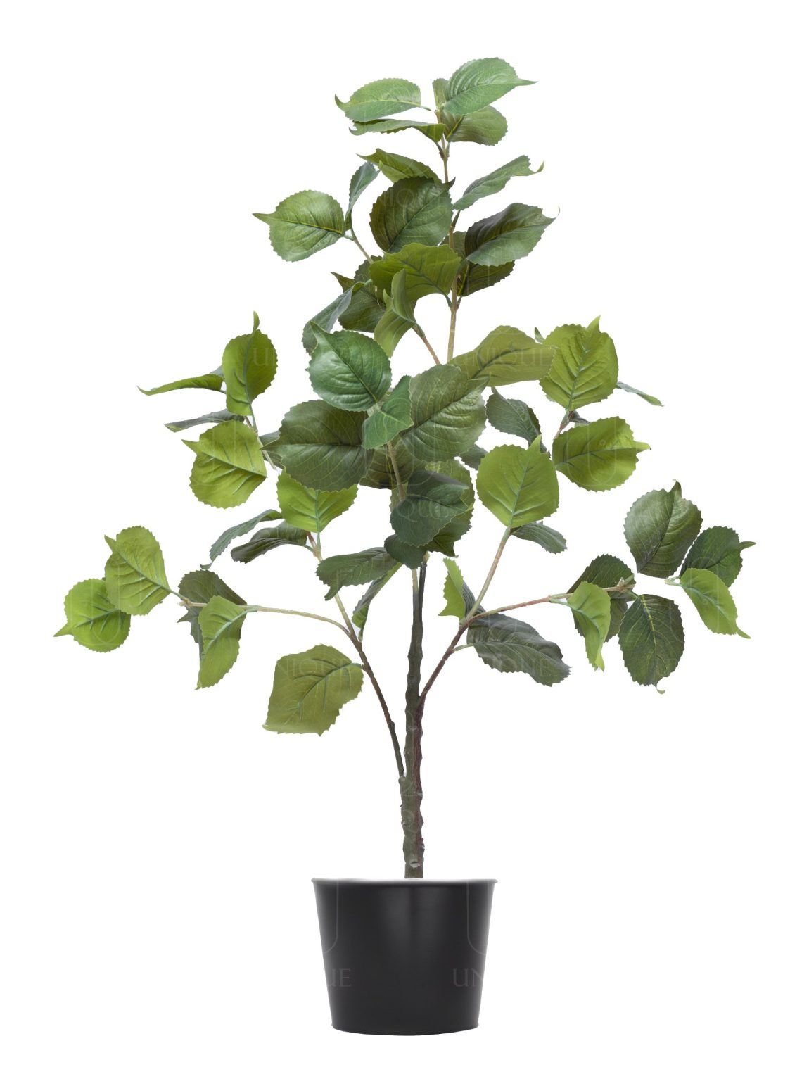 Blueberry Artificial Single Trunk Tree Green Leavs H100CM