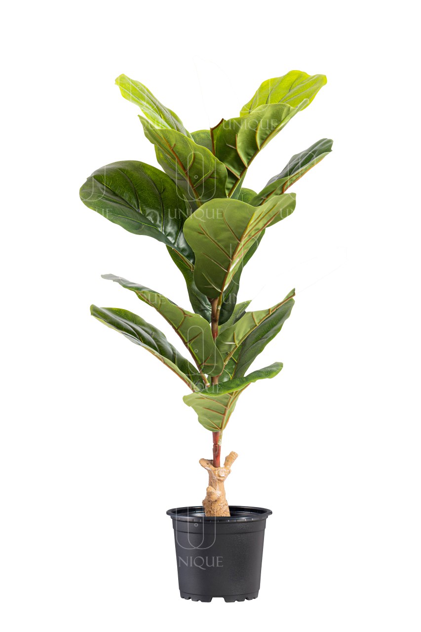 Fiddle Leaf Fig Artificial Tree Single Branch H75CM