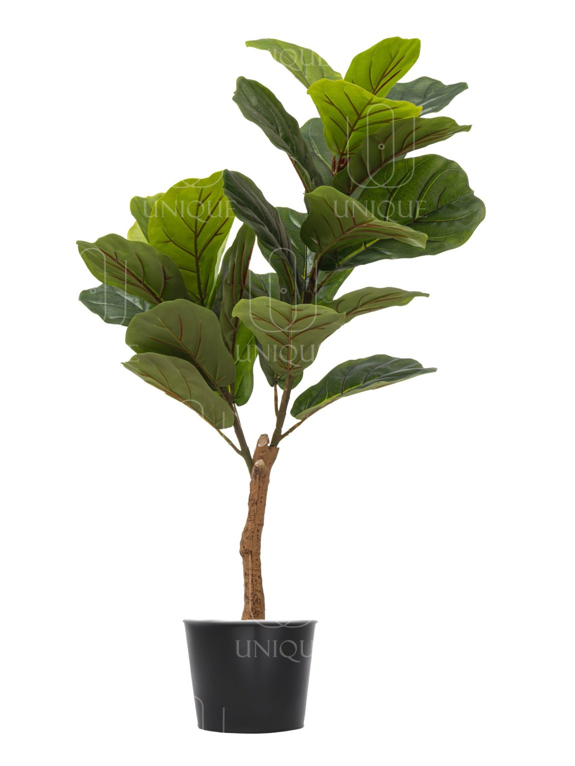 Fiddle Leaf Fig Artificial Tree With 2 Branches H100CM