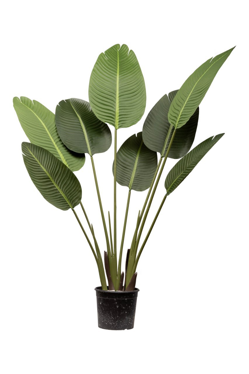 Banana Artificial Tree 3 Brown Trunk 8 Leavs H120CM