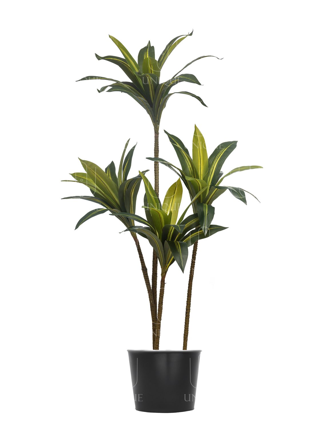 Dracaena Artificial Tree Double Trunks With Yellowish Leavs H160CM Potted In Black Plastic Pot D15-20CM