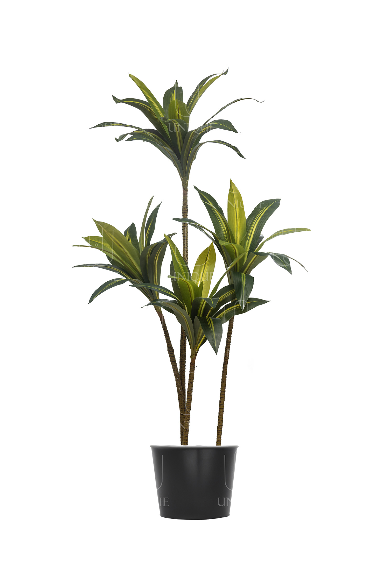 Dracaena Artificial Tree Double Trunks With Yellowish Leavs H160CM Potted In Black Plastic Pot D15-20CM