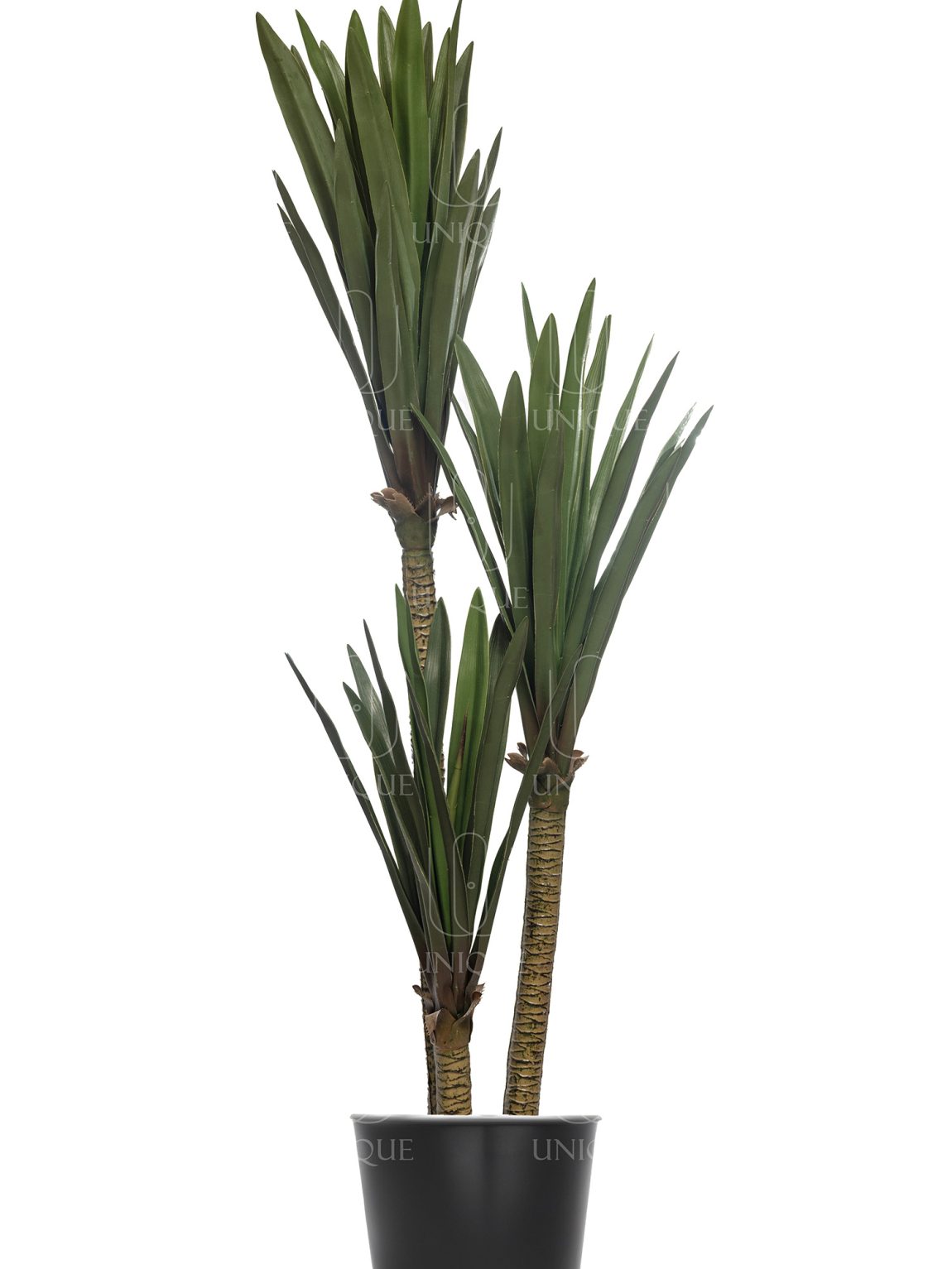 Spineless Yucca Artificial Tree Triple Trunks H150CM Potted In Black Plastic Pot D15-20CM