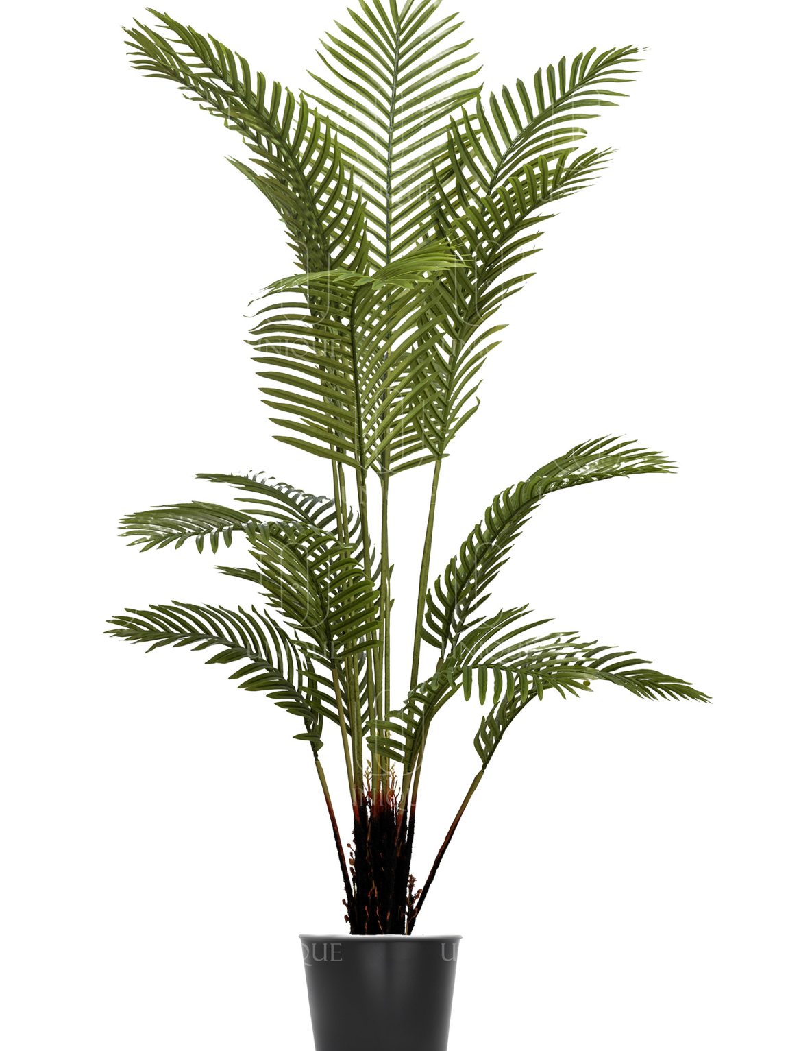 Areca Artificial Palm Tree Single High Quality Trunk H160CM Potted In Black Plastic Pot D15-20CM