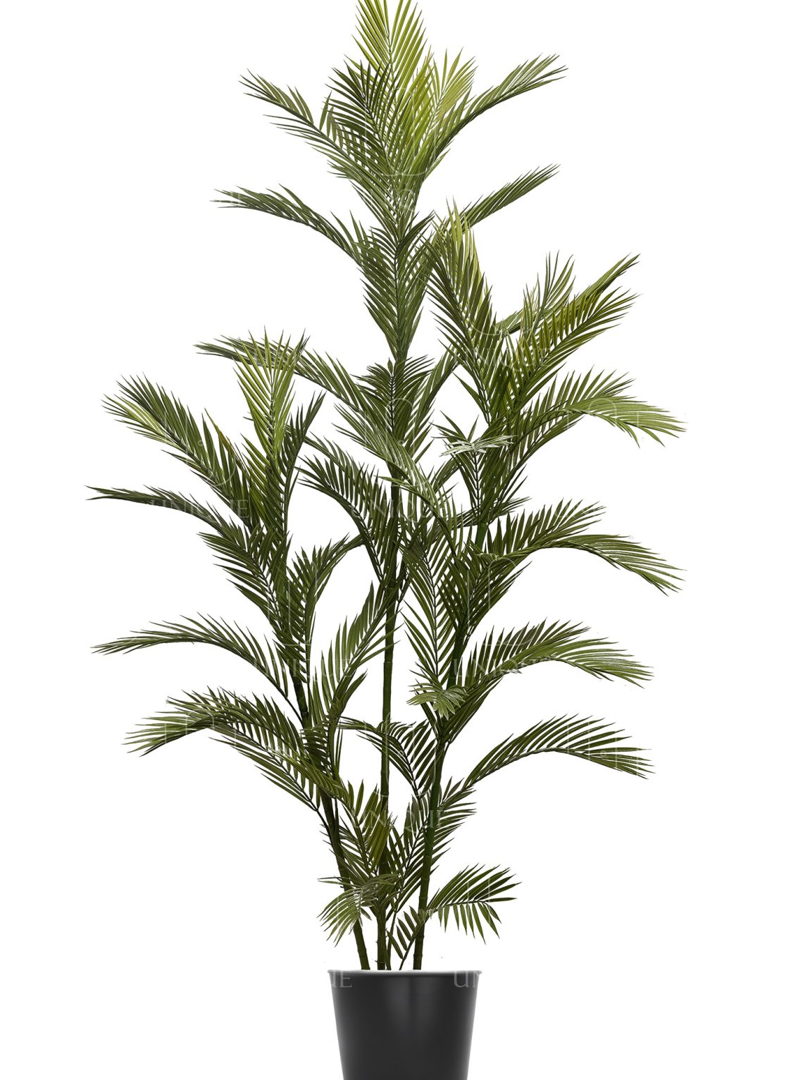 Shamadoria Artificial Palm Tree Triple Trunks H160CM Potted In Black Plastic Pot D15-20CM