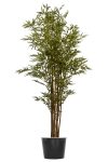 Bamboo Artificial Tree Multi Like-Real Trunks H180CM Potted In Black Plastic Pot D15-20CM