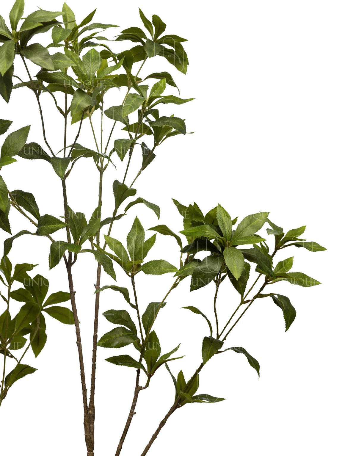 Benjamina Artificial Tree H210CM