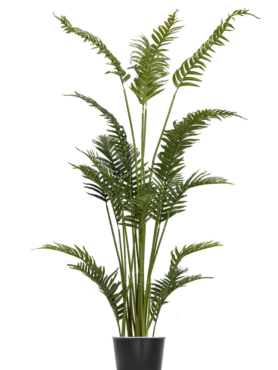 Areca Dot Artificial Palm Tree H170CM Potted In Black Plastic Pot D15-20CM