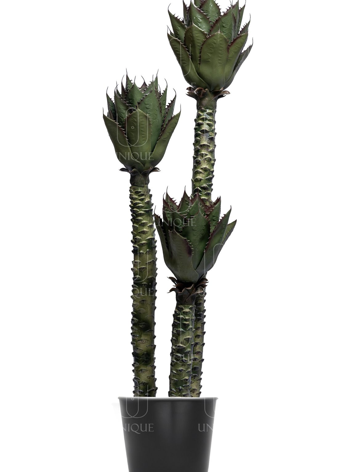 Aloe Vera Artificial Tree Triple Trunks H160CM Potted In Black Plastic Pot D15-20CM