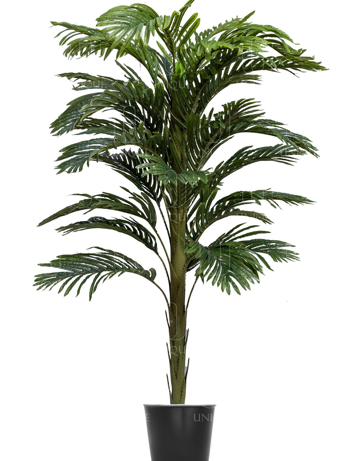 Areca Artificial Palm Tree Single Trunk H180CM Potted In Black Plastic Pot D15-20CM