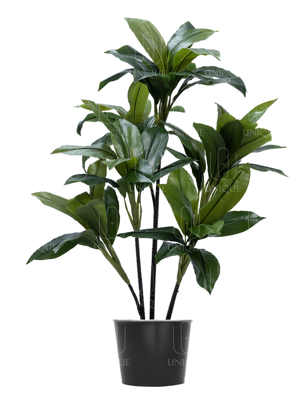 Dracaena Artificial Tree Triple Brown Trunks