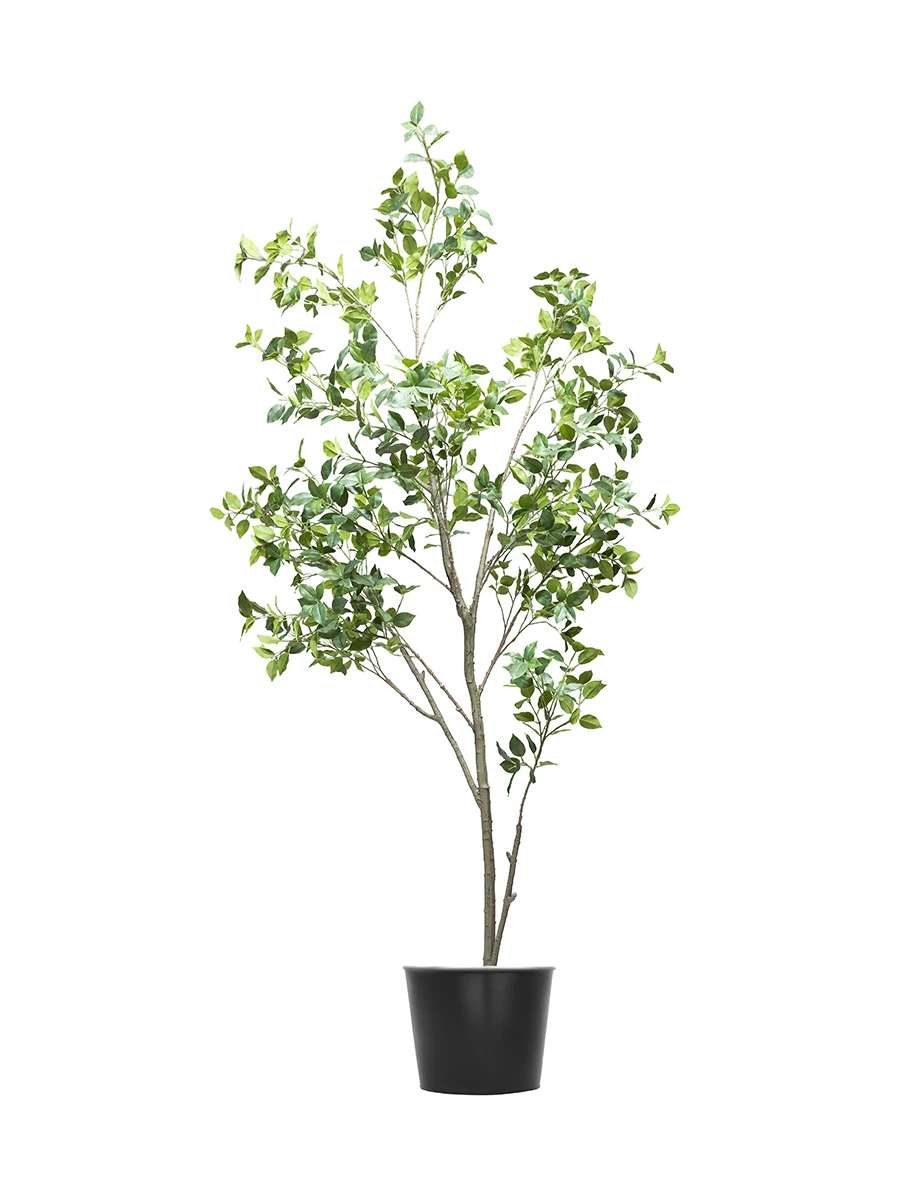 Benjamina Artificial Tree Single Trunk Light Green Foliage H200CM