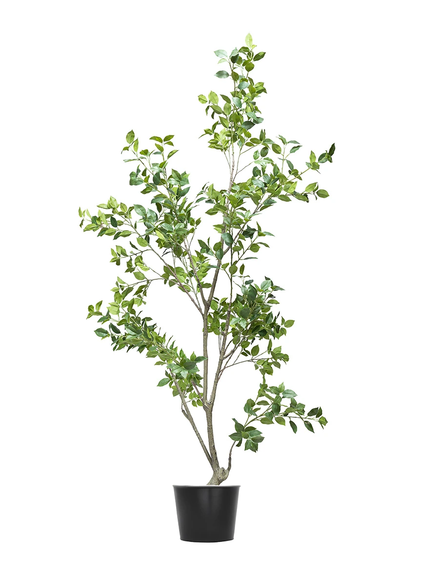 Benjamina Artificial Tree 3 Branches H180CM