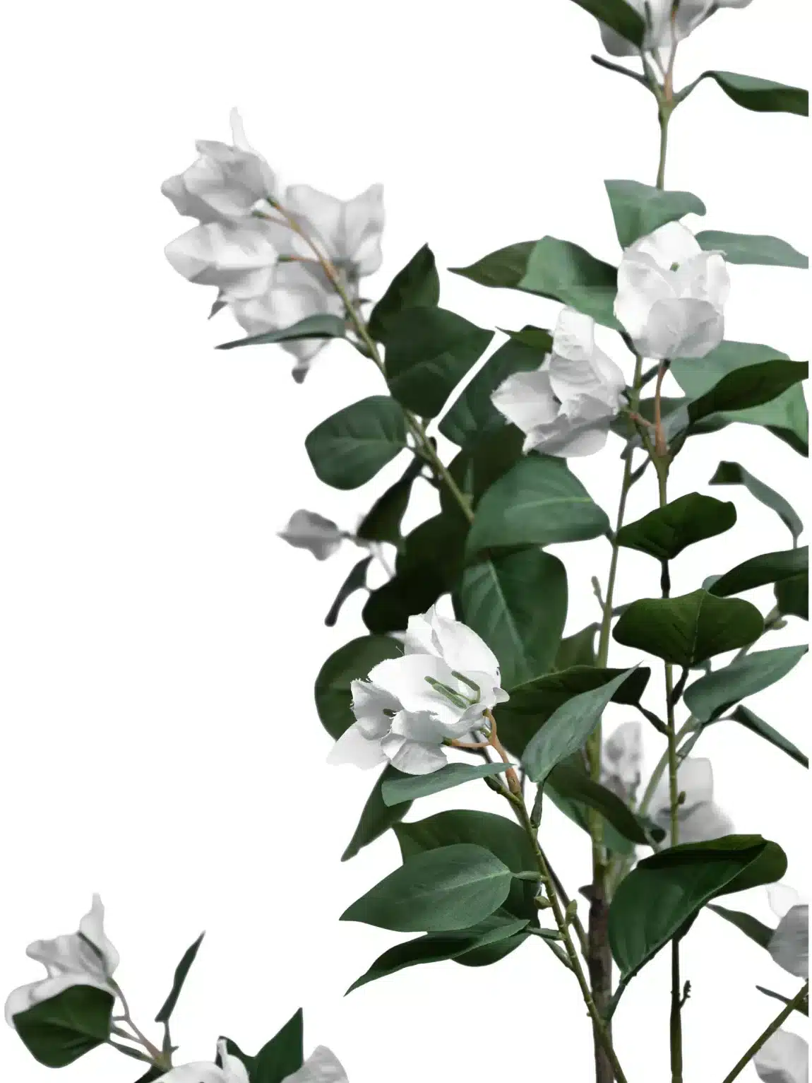 Bougainvillea Artificial Tree White Flowers H180CM