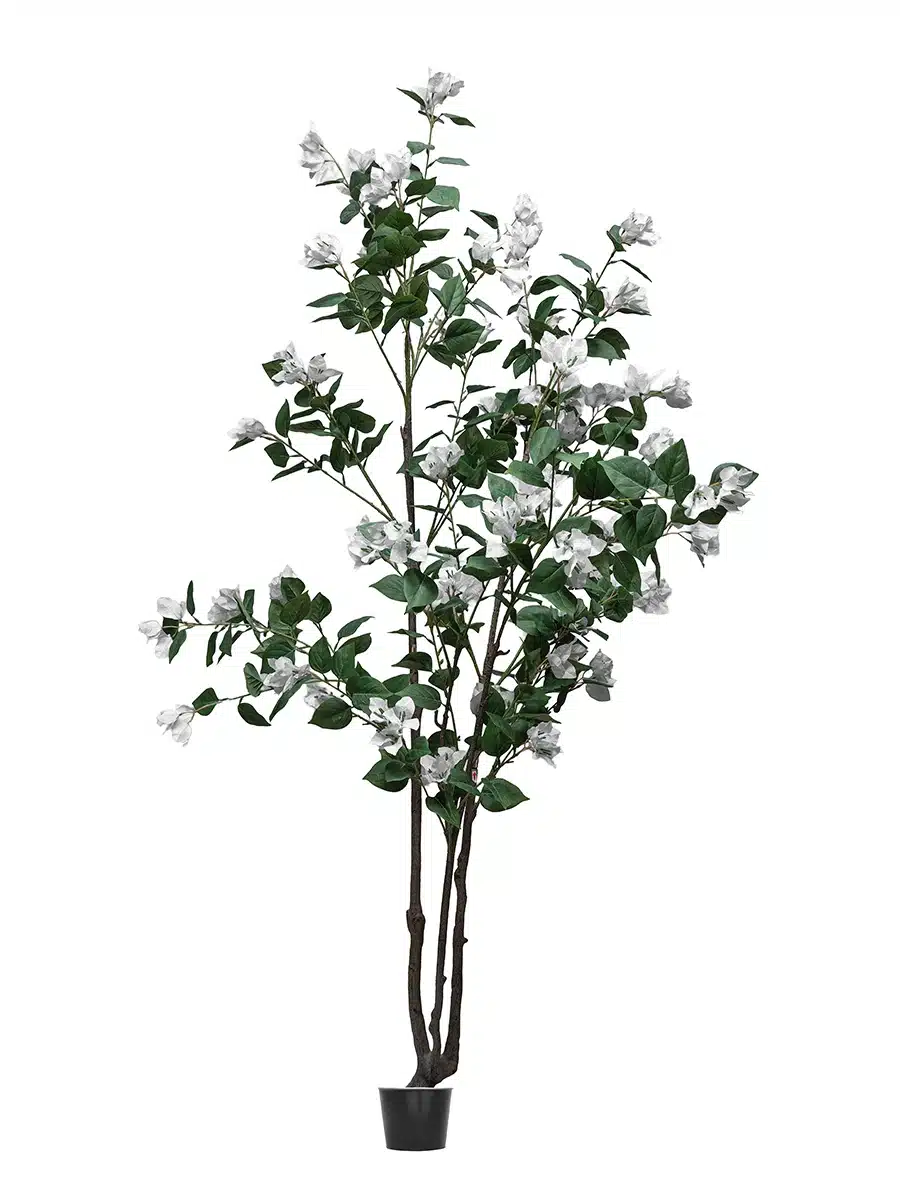 Bougainvillea Artificial Tree White Flowers H180CM
