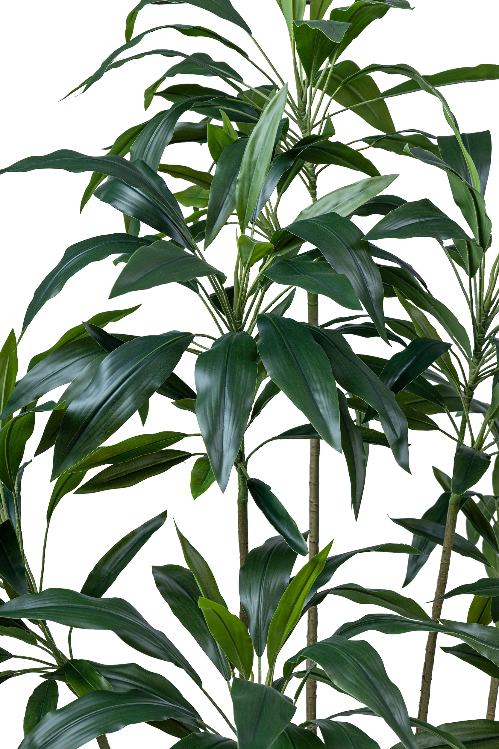160cm Artificial Cordyline Tree #XYZJ-082-16003#G - Image 3