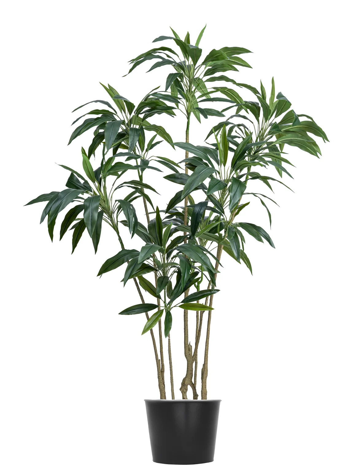 160cm Artificial Cordyline Tree #XYZJ-082-16003#G