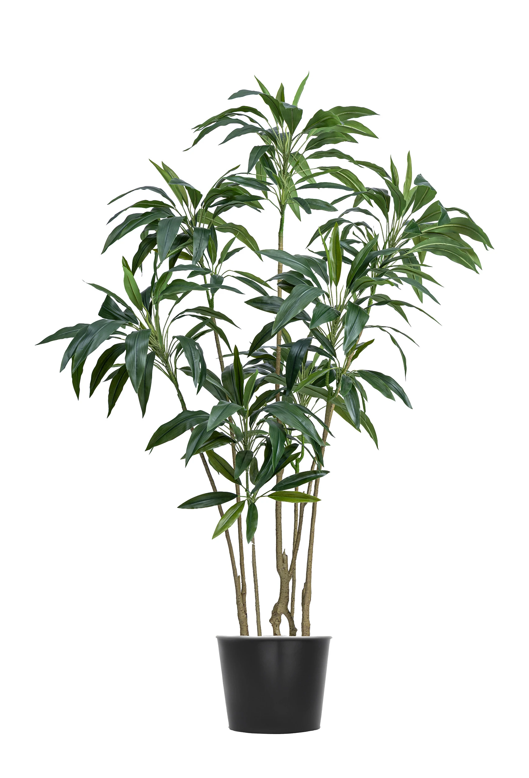 160cm Artificial Cordyline Tree #XYZJ-082-16003#G