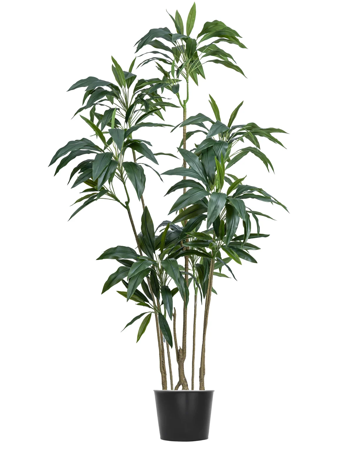 180cm Artificial Cordyline Tree #XYZJ-082-18004#G