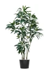 200cm Artificial Cordyline Tree #XYZJ-082-20005#G