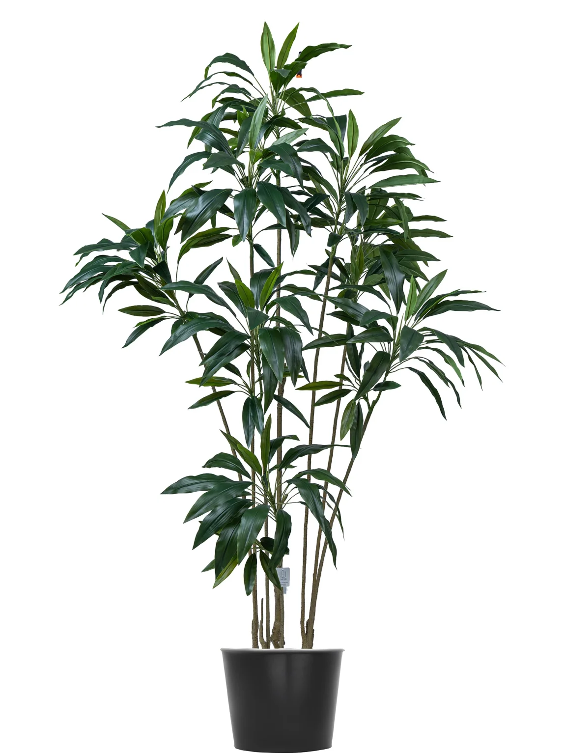 200cm Artificial Cordyline Tree #XYZJ-082-20005#G
